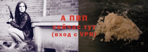 гашик Беломорск