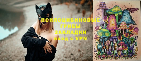 гашик Беломорск