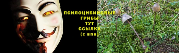 гашик Беломорск