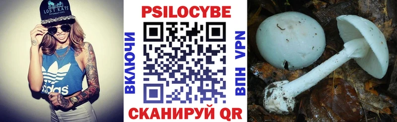 купить наркотик Кодинск Псилоцибиновые грибы мицелий